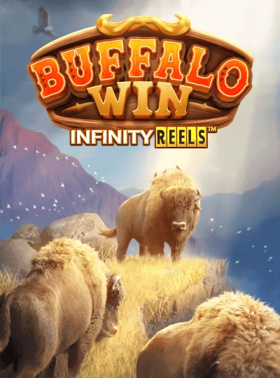 Bingo game cover